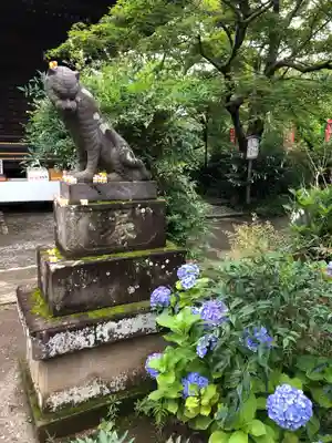 多聞院の狛犬