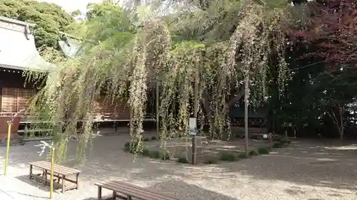 常陸第三宮　吉田神社の庭園