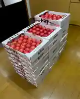 広布山 本覚寺(広島県)