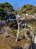 来迎寺(東京都)