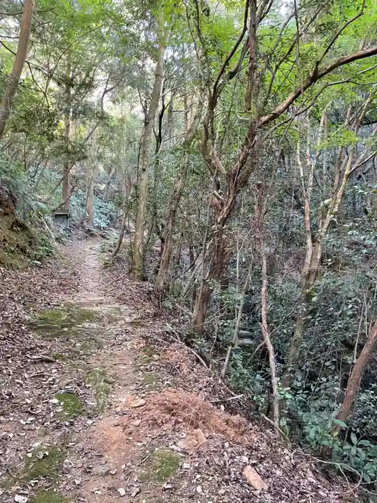 藤井寺奥の院(徳島県)