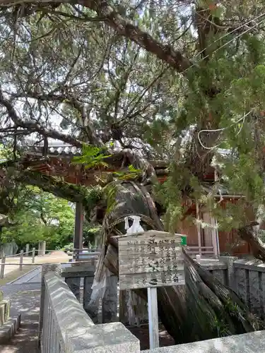 高砂神社の庭園