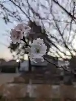 日吉八王子神社(東京都)