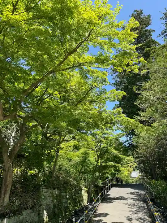 円覚寺(神奈川県)