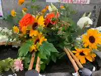 手稲神社の手水舎