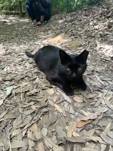 玉野御嶽神社(愛知県)