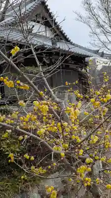 正源寺(滋賀県)