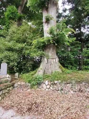 近津神社の自然