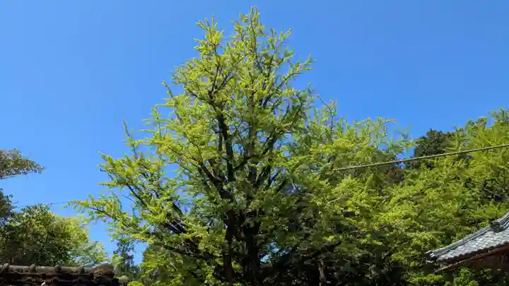 末廣神社の自然