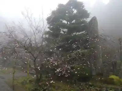 三角寺(愛媛県)