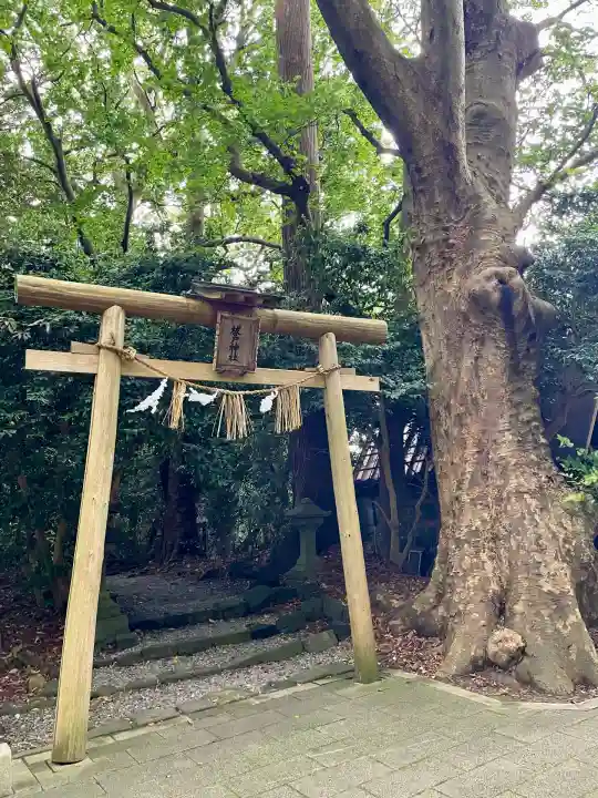 祓戸神社(新潟県)