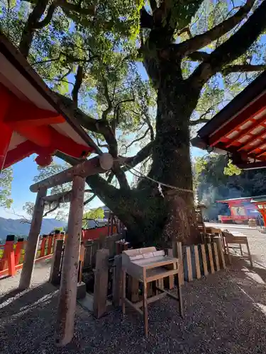 熊野那智大社(和歌山県)