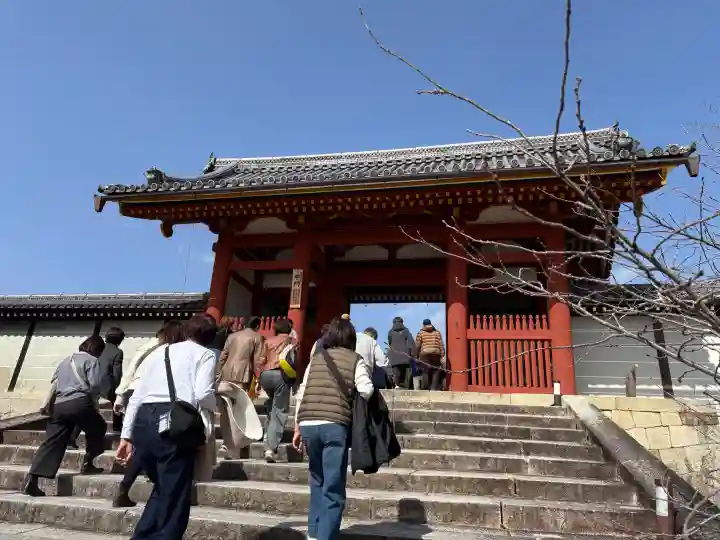 仁和寺の{uncategorized: "未分類", other: "その他", undefined: "問題あり", building: "その他建物", grave: "お墓", sacred_gate: "鳥居", guardian: "狛犬", statue: "像", buddha: "仏像", history: "歴史", nature: "自然", garden: "庭園", animal: "動物", pagoda: "塔", temizu: "手水舎", mountain_gate: "山門・神門", sanctuary: "本殿・本堂", subordinate: "末社・摂社", art: "芸術", scenery: "景色", jizo: "地蔵", ema: "絵馬", goshuin: "御朱印", omikuji: "おみくじ", items: "授与品その他", amulet: "お守り", goshuincho: "御朱印帳", eats: "食事", festival: "お祭り", votive_dance: "神楽", shichigosan: "七五三参", wedding: "結婚式", experience: "体験その他", initially: "初詣", around: "周辺", anti_infection: "感染症対策"}