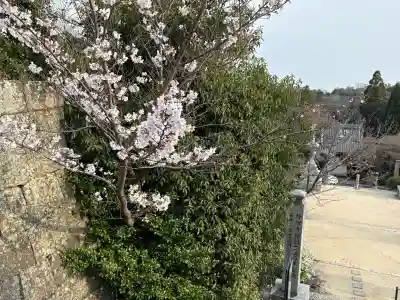神咒寺の{uncategorized: "未分類", other: "その他", undefined: "問題あり", building: "その他建物", grave: "お墓", sacred_gate: "鳥居", guardian: "狛犬", statue: "像", buddha: "仏像", history: "歴史", nature: "自然", garden: "庭園", animal: "動物", pagoda: "塔", temizu: "手水舎", mountain_gate: "山門・神門", sanctuary: "本殿・本堂", subordinate: "末社・摂社", art: "芸術", scenery: "景色", jizo: "地蔵", ema: "絵馬", goshuin: "御朱印", omikuji: "おみくじ", items: "授与品その他", amulet: "お守り", goshuincho: "御朱印帳", eats: "食事", festival: "お祭り", votive_dance: "神楽", shichigosan: "七五三参", wedding: "結婚式", experience: "体験その他", initially: "初詣", around: "周辺", anti_infection: "感染症対策"}