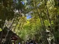 來宮神社の{uncategorized: "未分類", other: "その他", undefined: "問題あり", building: "その他建物", grave: "お墓", sacred_gate: "鳥居", guardian: "狛犬", statue: "像", buddha: "仏像", history: "歴史", nature: "自然", garden: "庭園", animal: "動物", pagoda: "塔", temizu: "手水舎", mountain_gate: "山門・神門", sanctuary: "本殿・本堂", subordinate: "末社・摂社", art: "芸術", scenery: "景色", jizo: "地蔵", ema: "絵馬", goshuin: "御朱印", omikuji: "おみくじ", items: "授与品その他", amulet: "お守り", goshuincho: "御朱印帳", eats: "食事", festival: "お祭り", votive_dance: "神楽", shichigosan: "七五三参", wedding: "結婚式", experience: "体験その他", initially: "初詣", around: "周辺", anti_infection: "感染症対策"}