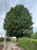 八幡神社(千葉県)