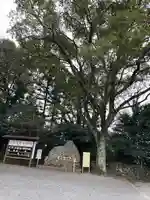 砥鹿神社(里宮)(愛知県)