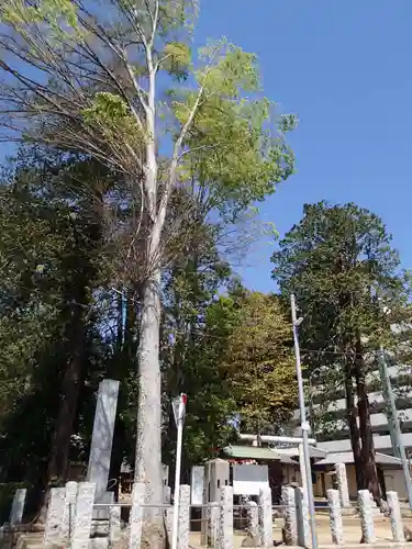 加茂神社の自然