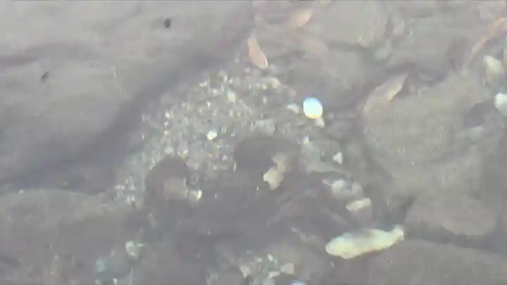 伊勢神宮内宮(皇大神宮)(三重県)