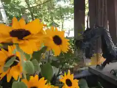 彌彦神社　(伊夜日子神社)(北海道)