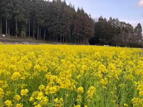 堂の下の岩観音(栃木県)