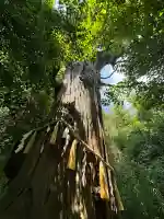 陸奥総社宮の{uncategorized: "未分類", other: "その他", undefined: "問題あり", building: "その他建物", grave: "お墓", sacred_gate: "鳥居", guardian: "狛犬", statue: "像", buddha: "仏像", history: "歴史", nature: "自然", garden: "庭園", animal: "動物", pagoda: "塔", temizu: "手水舎", mountain_gate: "山門・神門", sanctuary: "本殿・本堂", subordinate: "末社・摂社", art: "芸術", scenery: "景色", jizo: "地蔵", ema: "絵馬", goshuin: "御朱印", omikuji: "おみくじ", items: "授与品その他", amulet: "お守り", goshuincho: "御朱印帳", eats: "食事", festival: "お祭り", votive_dance: "神楽", shichigosan: "七五三参", wedding: "結婚式", experience: "体験その他", initially: "初詣", around: "周辺", anti_infection: "感染症対策"}