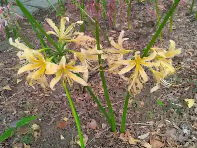 横浜　西方寺(神奈川県)