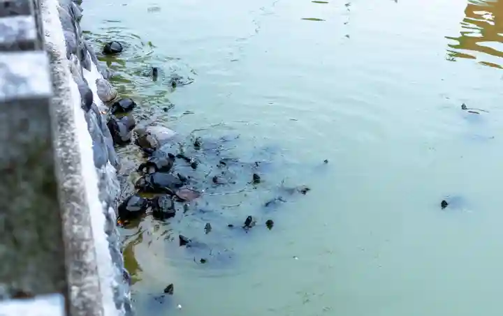 川原神社(愛知県)