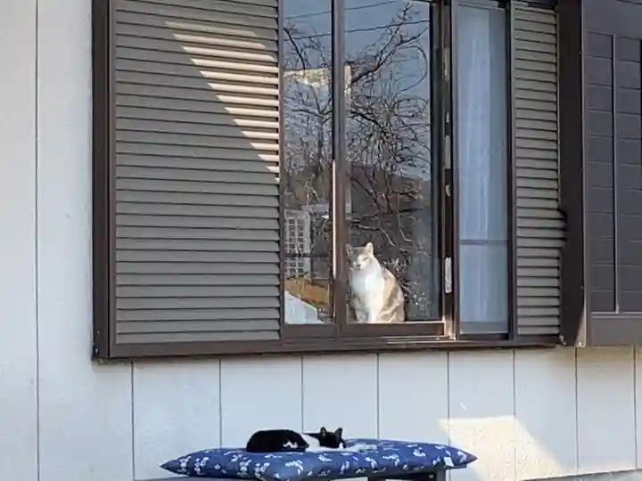 洞昌院のその他建物