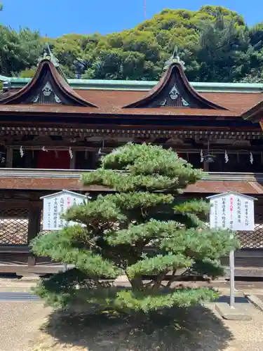 住吉神社(山口県)