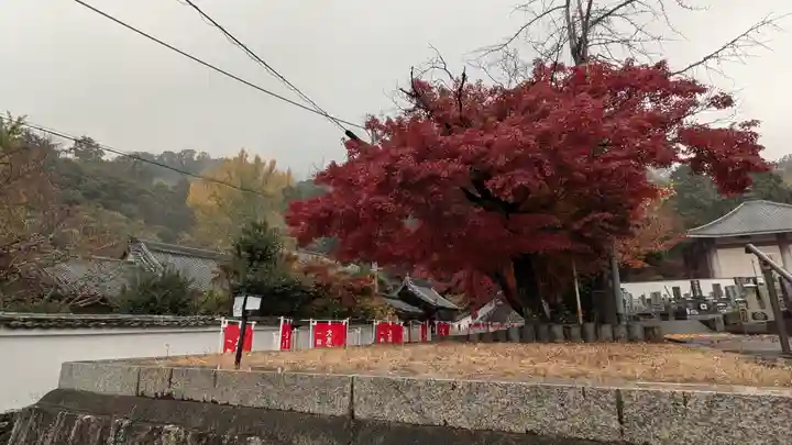宝積寺(京都府)