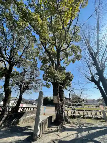 皇祖神社の自然
