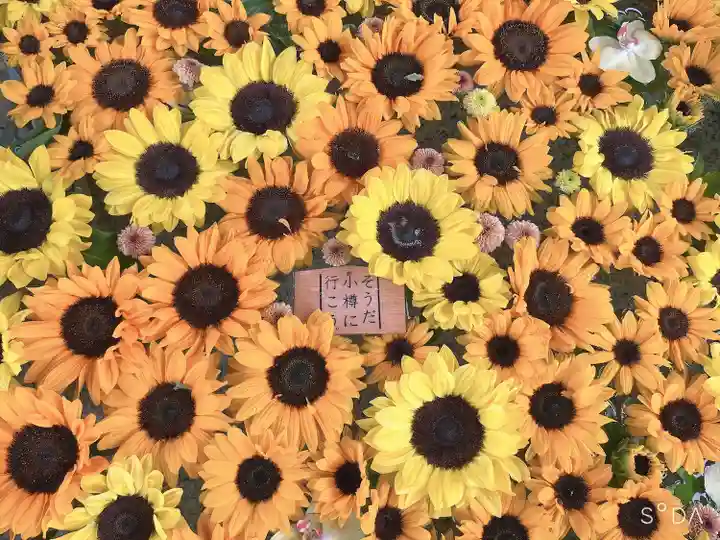 住吉神社の手水舎