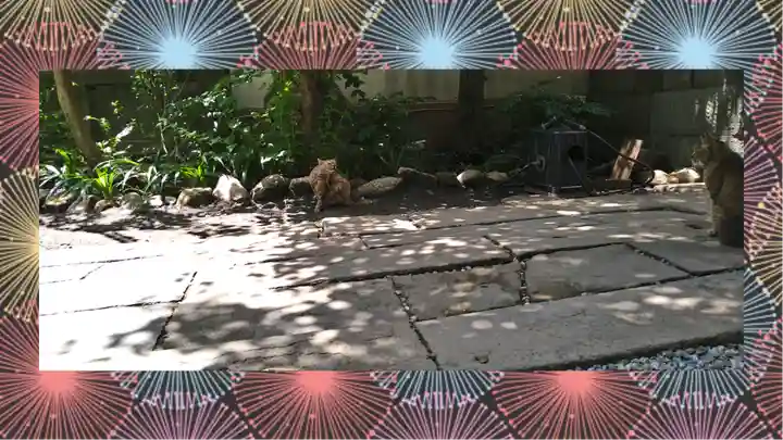 小野照崎神社(東京都)