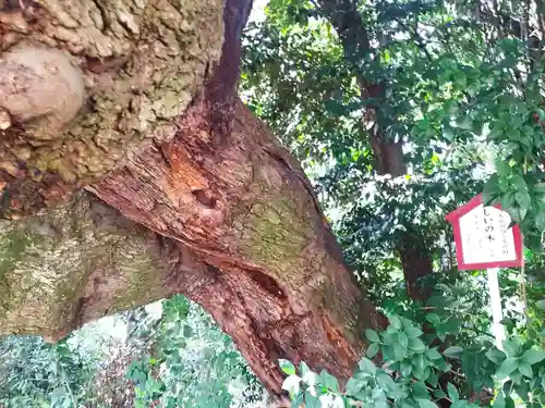 春日神社(大阪府)