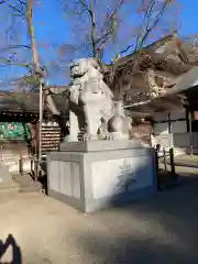 寒川神社の狛犬