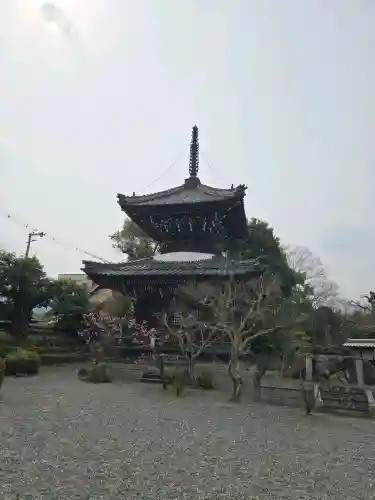 穴太寺の{uncategorized: "未分類", other: "その他", undefined: "問題あり", building: "その他建物", grave: "お墓", sacred_gate: "鳥居", guardian: "狛犬", statue: "像", buddha: "仏像", history: "歴史", nature: "自然", garden: "庭園", animal: "動物", pagoda: "塔", temizu: "手水舎", mountain_gate: "山門・神門", sanctuary: "本殿・本堂", subordinate: "末社・摂社", art: "芸術", scenery: "景色", jizo: "地蔵", ema: "絵馬", goshuin: "御朱印", omikuji: "おみくじ", items: "授与品その他", amulet: "お守り", goshuincho: "御朱印帳", eats: "食事", festival: "お祭り", votive_dance: "神楽", shichigosan: "七五三参", wedding: "結婚式", experience: "体験その他", initially: "初詣", around: "周辺", anti_infection: "感染症対策"}