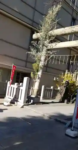  六本木天祖神社の鳥居