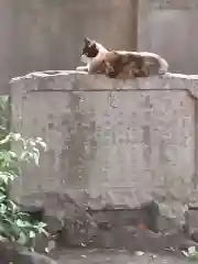 岡山戎神社の動物