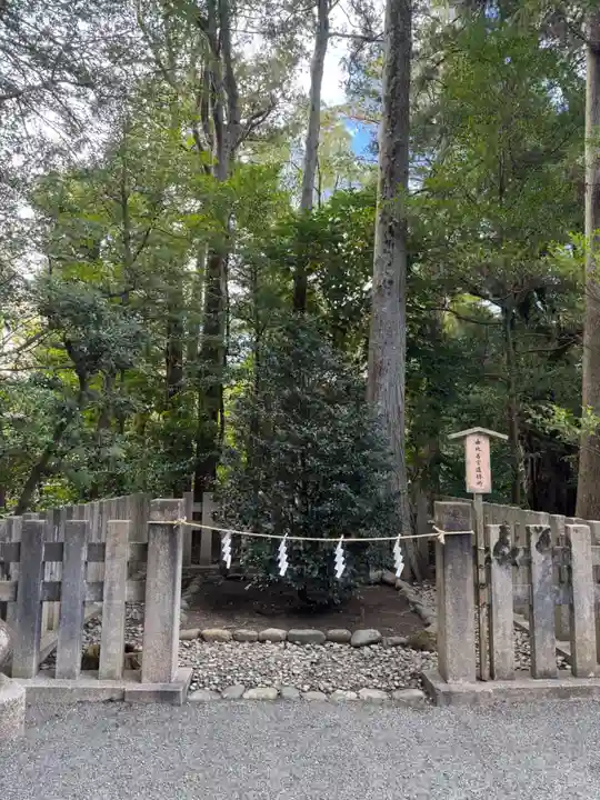 鶴岡八幡宮の自然