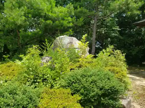 稲村神社の自然