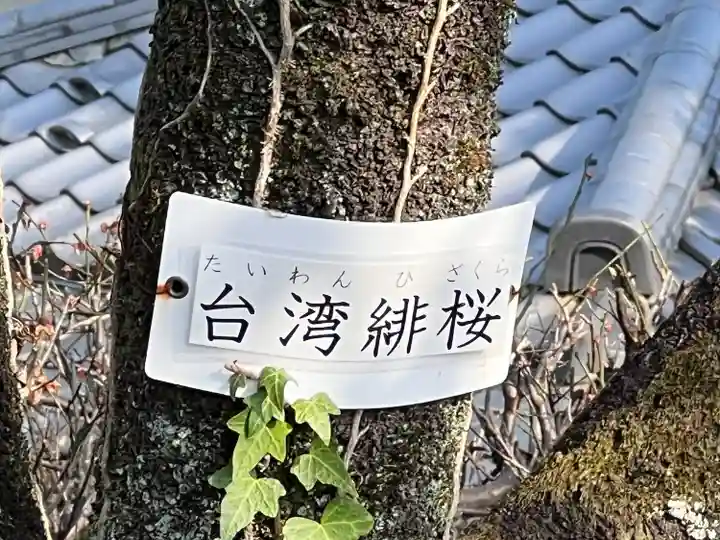 密藏院(埼玉県)