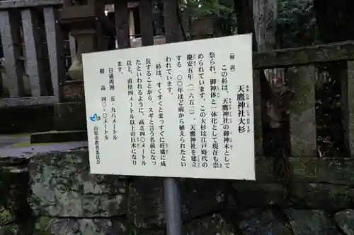 天鷹神社の歴史