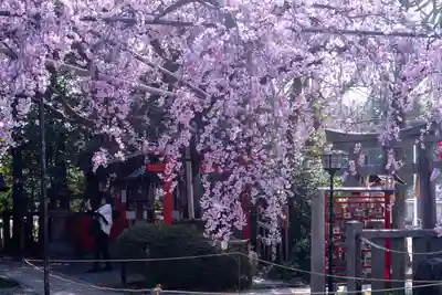 水火天満宮(京都府)