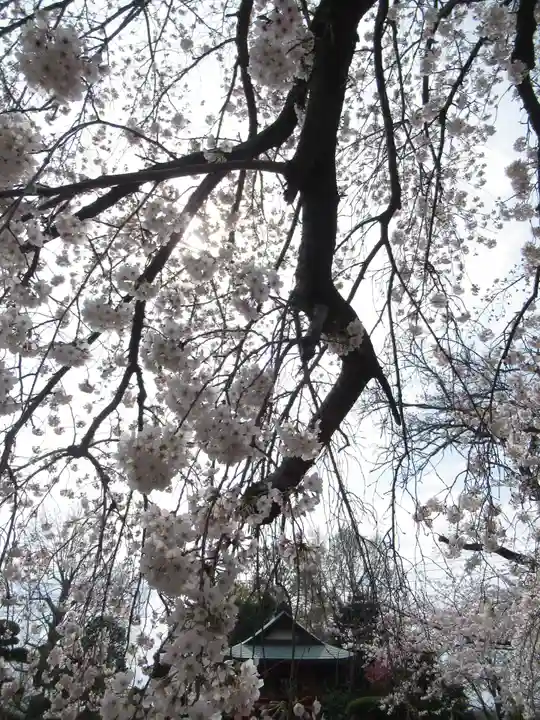 清泰寺(千葉県)