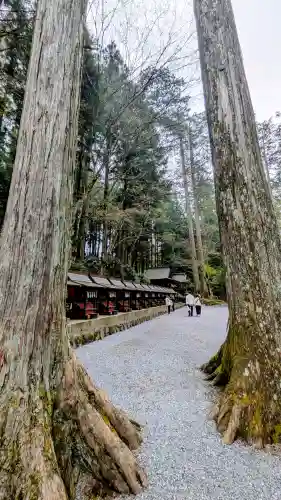 三峯神社の{uncategorized: "未分類", other: "その他", undefined: "問題あり", building: "その他建物", grave: "お墓", sacred_gate: "鳥居", guardian: "狛犬", statue: "像", buddha: "仏像", history: "歴史", nature: "自然", garden: "庭園", animal: "動物", pagoda: "塔", temizu: "手水舎", mountain_gate: "山門・神門", sanctuary: "本殿・本堂", subordinate: "末社・摂社", art: "芸術", scenery: "景色", jizo: "地蔵", ema: "絵馬", goshuin: "御朱印", omikuji: "おみくじ", items: "授与品その他", amulet: "お守り", goshuincho: "御朱印帳", eats: "食事", festival: "お祭り", votive_dance: "神楽", shichigosan: "七五三参", wedding: "結婚式", experience: "体験その他", initially: "初詣", around: "周辺", anti_infection: "感染症対策"}