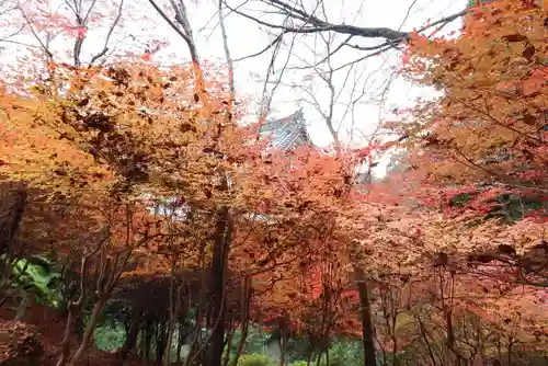 神護寺(京都府)