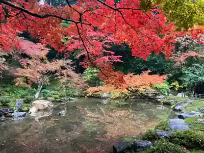 南禅院(京都府)