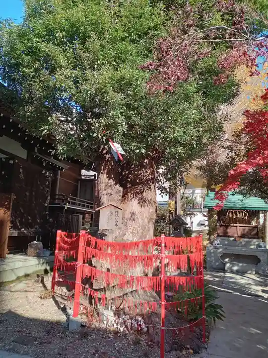 三輪神社(愛知県)