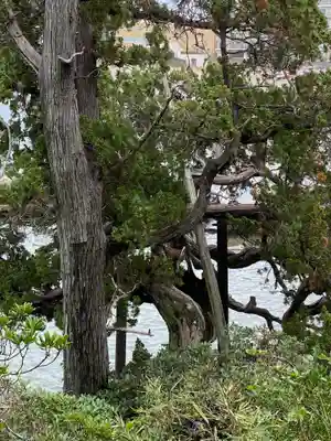 森戸大明神（森戸神社）(神奈川県)